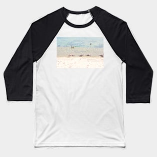 Care Free Grey Gull Baseball T-Shirt